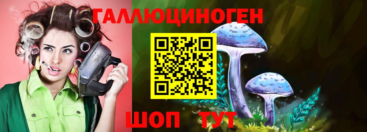 Псилоцибиновые грибы Psilocybe Берёзовский