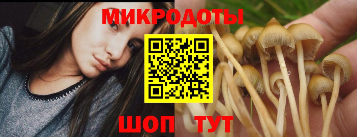 цена наркотик  Галлюциногенные грибы мухоморы  Вход с VPN  Псилоцибиновые грибы GOLDEN TEACHER  Берёзовский 